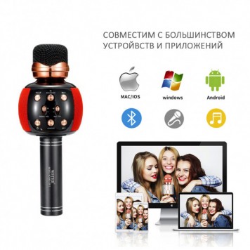 Микрофон караоке Wster DM Karaoke WS 2911-1