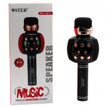 Микрофон караоке Wster DM Karaoke WS 2911-3