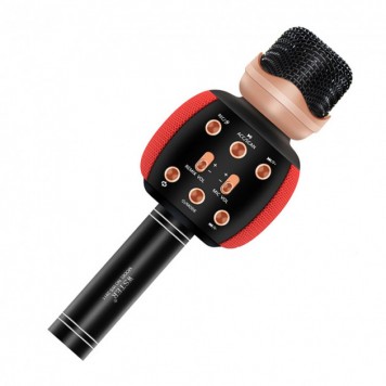 Микрофон караоке Wster DM Karaoke WS 2911-0